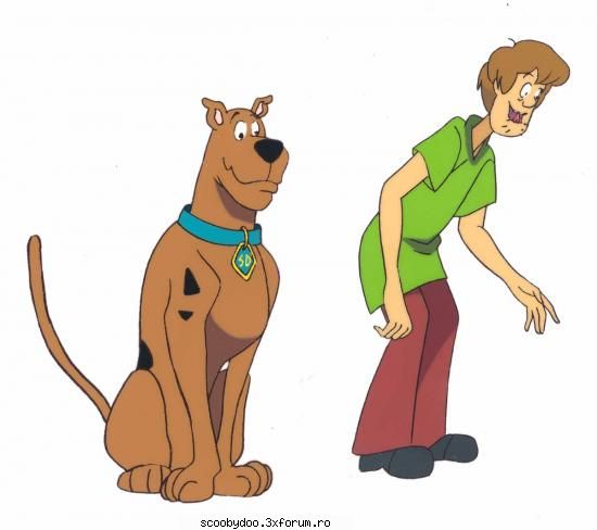 3::hi: poze cu shaggy