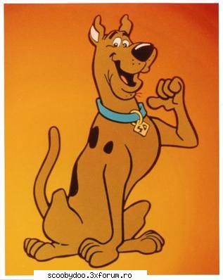 aha shtiu scooby 80